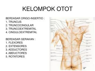 kelompok otot