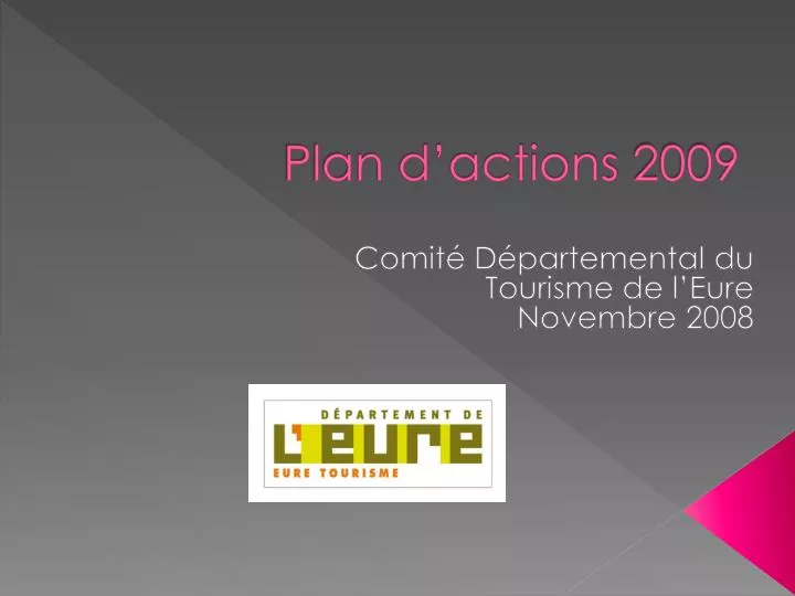 plan d actions 2009