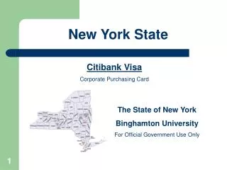 Citibank Visa Corporate Purchasing Card