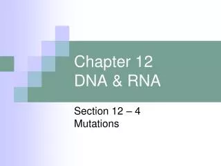 Chapter 12 DNA &amp; RNA