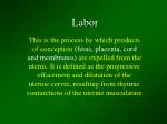 Labor - slide 1