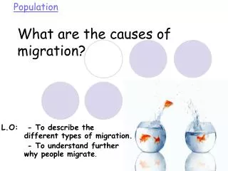 What are the causes of migration?