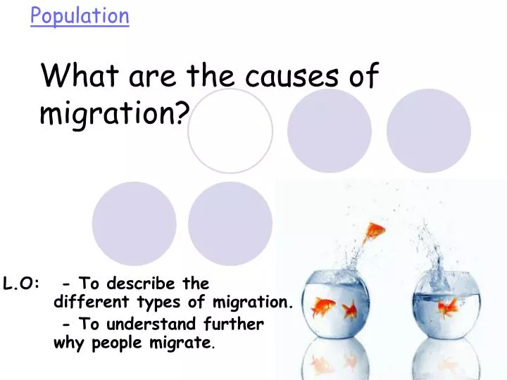 what are the causes of migration