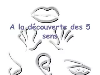 a la d couverte des 5 sens