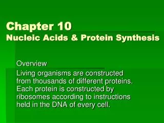 Chapter 10 Nucleic Acids &amp; Protein Synthesis