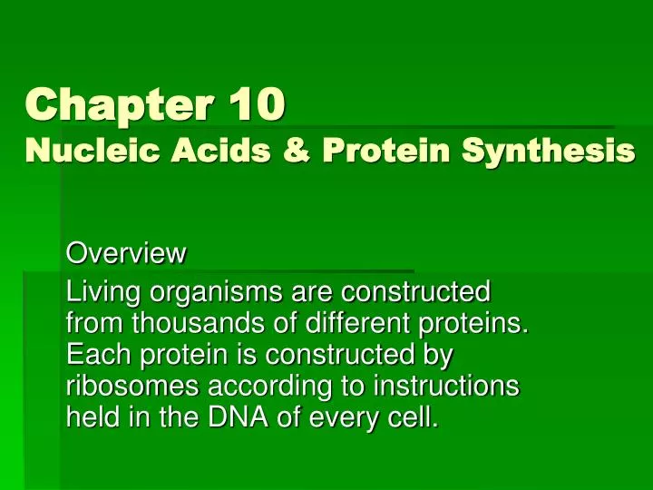chapter 10 nucleic acids protein synthesis