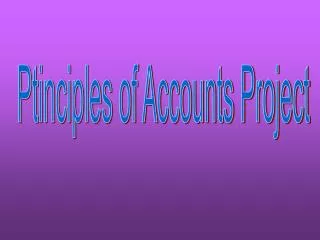 Ptinciples of Accounts Project