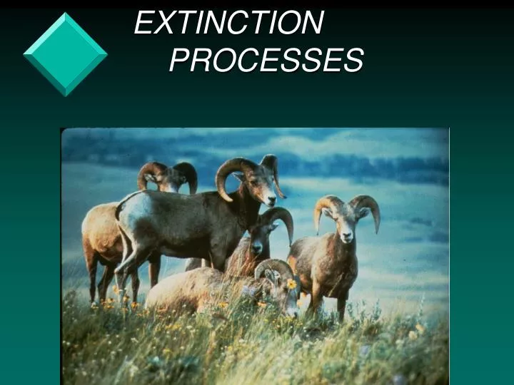 extinction processes