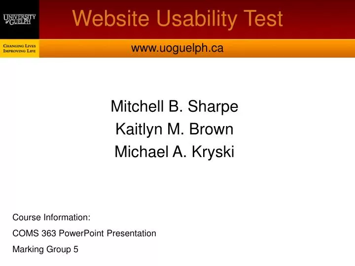 website usability test