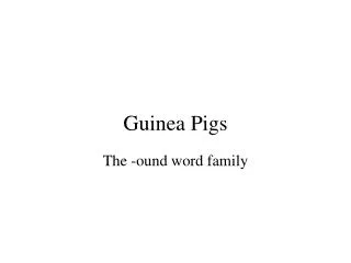 Guinea Pigs