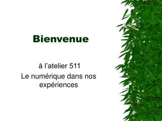 bienvenue