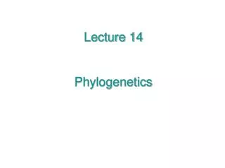 Lecture 14 Phylogenetics
