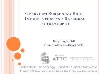 Overview: Screening Brief Intervention and Referral to treatment
