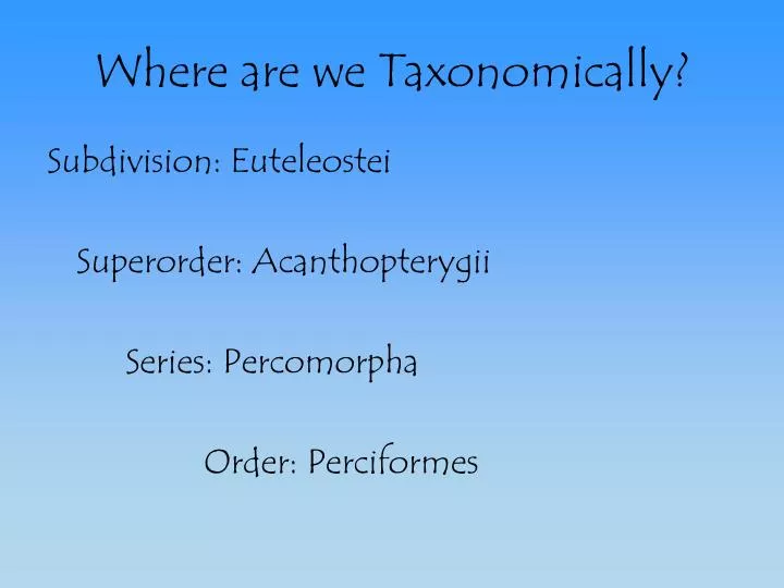 where are we taxonomically