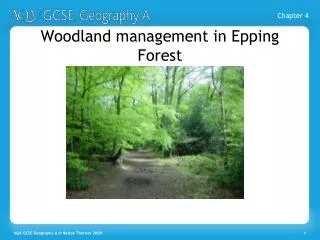 Woodland management in Epping Forest