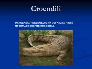 crocodili