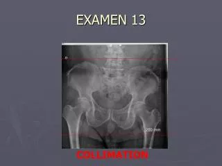 examen 13