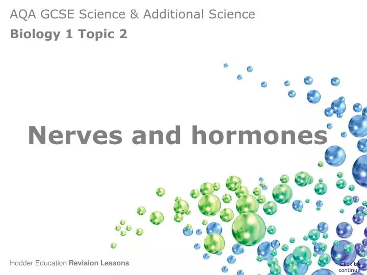 nerves and hormones