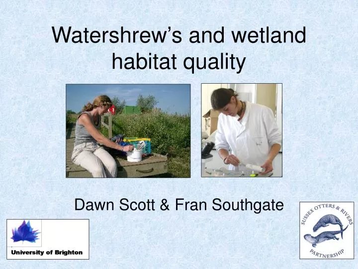 watershrew s and wetland habitat quality