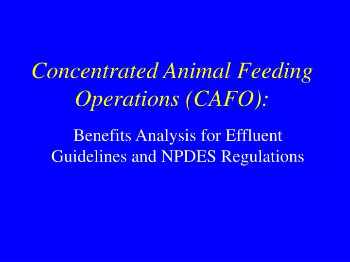concentrated animal feeding operations cafo