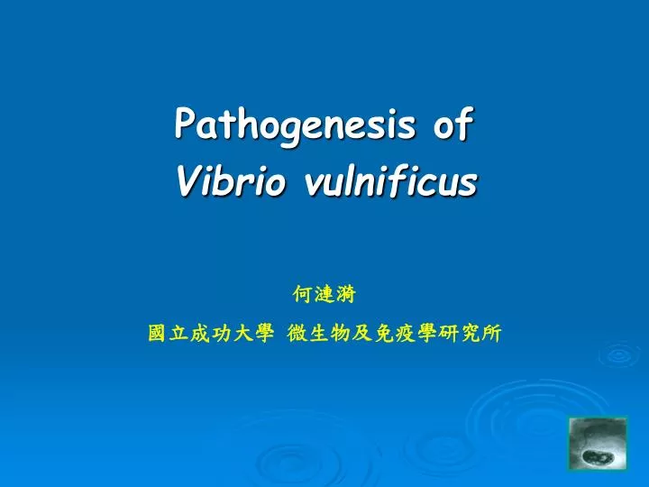 pathogenesis of vibrio vulnificus