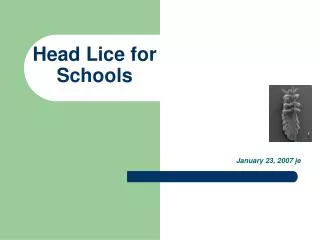 Head Lice for Schools