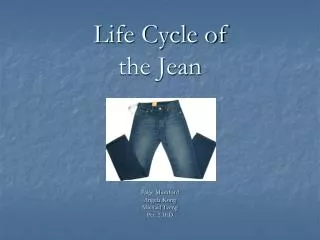 Life Cycle of the Jean
