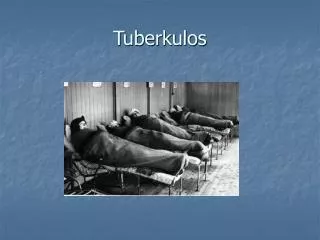 tuberkulos