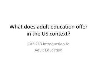 What does adult education offer in the US context?