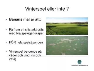 vinterspel eller inte