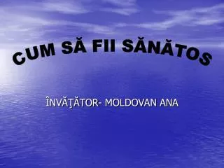 nv tor moldovan ana