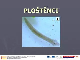 plo t nci