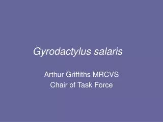 Gyrodactylus salaris