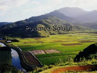 poluarea solului