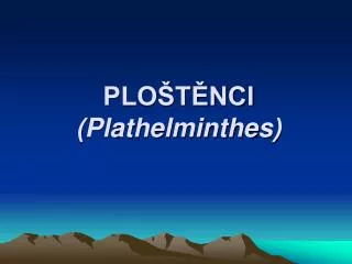 plo t nci plathelminthes