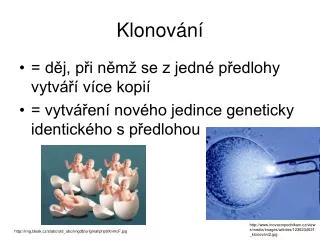 klonov n