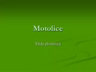 motolice