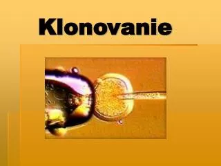 klonovanie