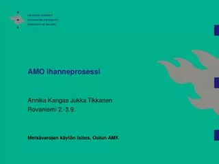 amo ihanneprosessi