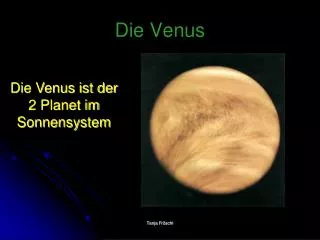 die venus