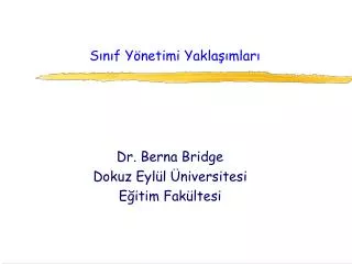 s n f y netimi yakla mlar