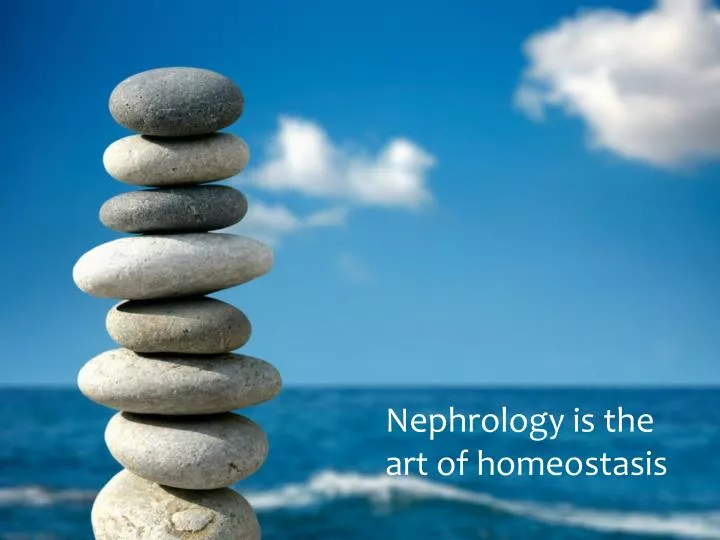 nephrology is the art of homeostasis