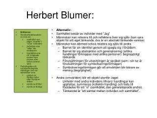 herbert blumer