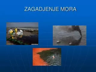zagadjenje mora