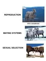 REPRODUCTION - slide 1