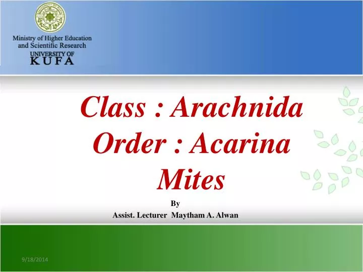 class arachnida order acarina mites