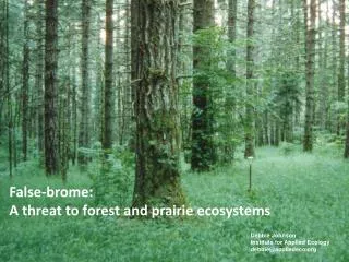 False-brome: A threat to forest and prairie ecosystems