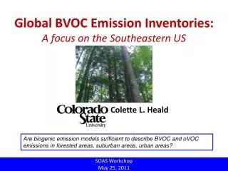 Global BVOC Emission Inventories: A focus on the Southeastern US