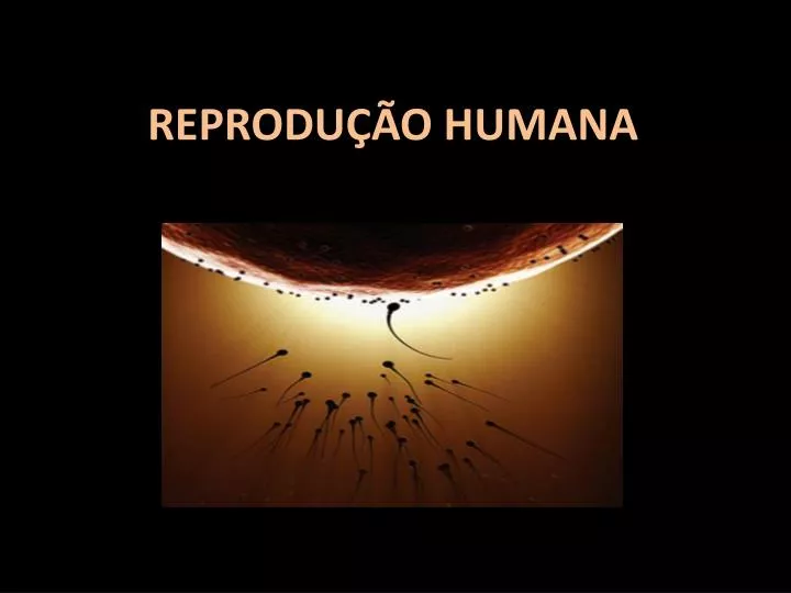 reprodu o humana