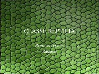 classe reptilia